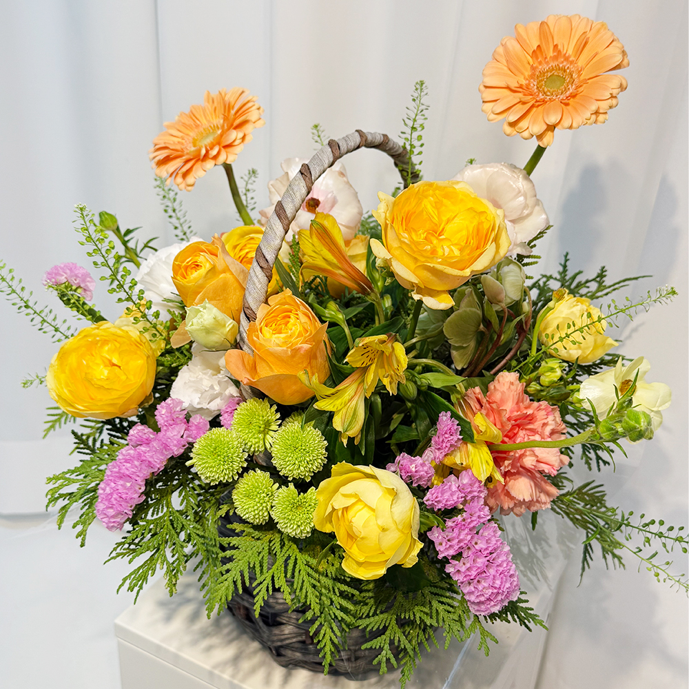 화성 카네이션 꽃바구니 어버이날 스승의날 꽃배달서비스 가정의달 부모님 선물 생화 농장직영