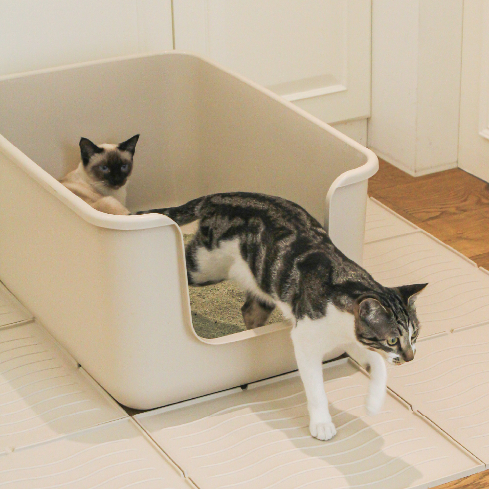 캣츠태그 BESPOKE 묘래박스 오리지널 고양이 화장실 대형 제품 이미지