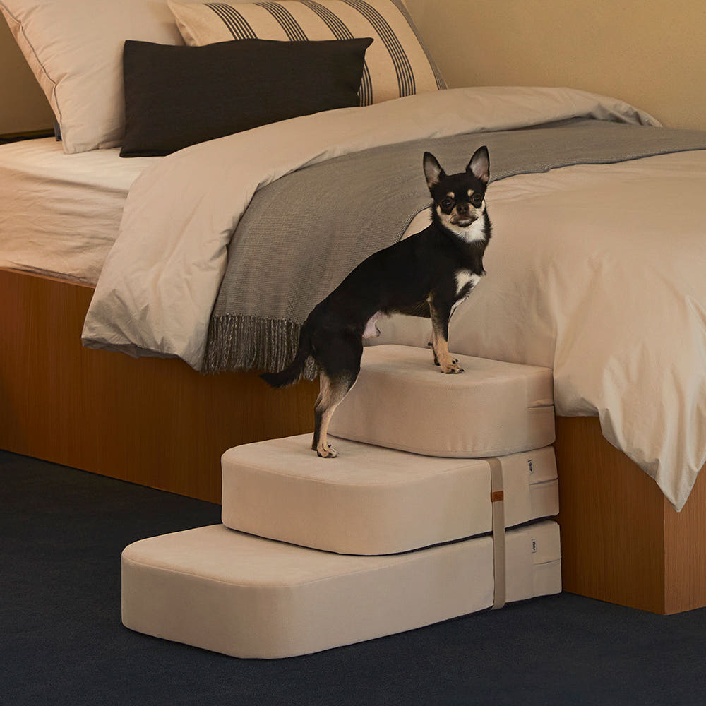 펫토 클린펫 계단 이지패브릭 강아지 고양이 논슬립 스텝 오트밀, 3단 솔직 후기 | 실제 사용자 리뷰 총정리 - 대표 이미지