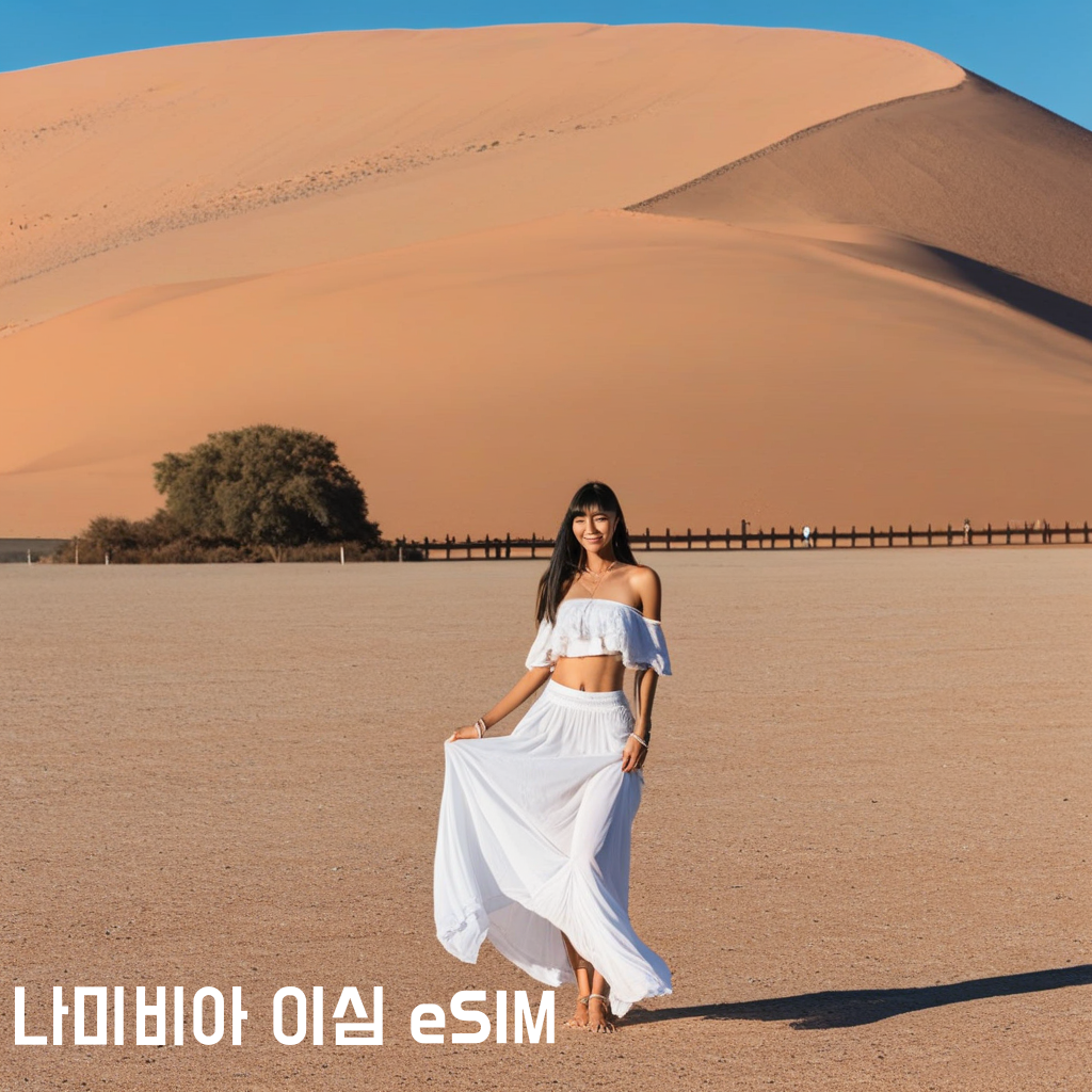 나미비아 이심 eSIM TN Mobile 빈트후크 스와코프문트 발비스 베이 루룬투레 오샤카티 소서스블레이 나미브 사막 에토샤 국립공원 스켈레톤 코스트 이심통 - 메인 이미지