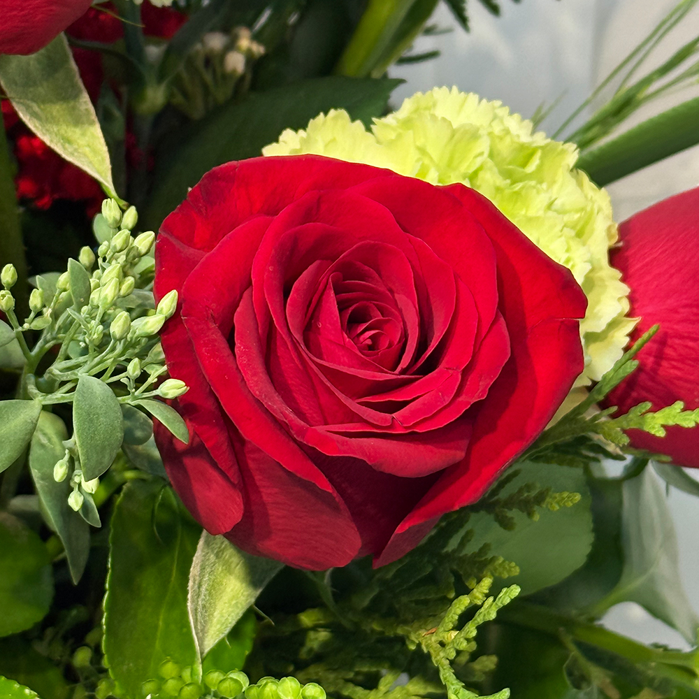 이천 카네이션 꽃바구니 어버이날 스승의날 꽃배달서비스 가정의달 부모님 선물 생화 농장직영