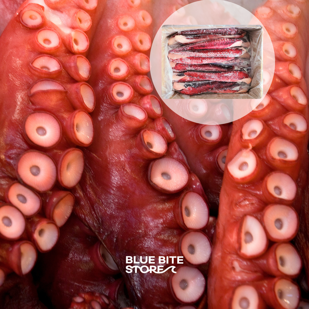 자숙문어 다리 10kg 냉동 피문어