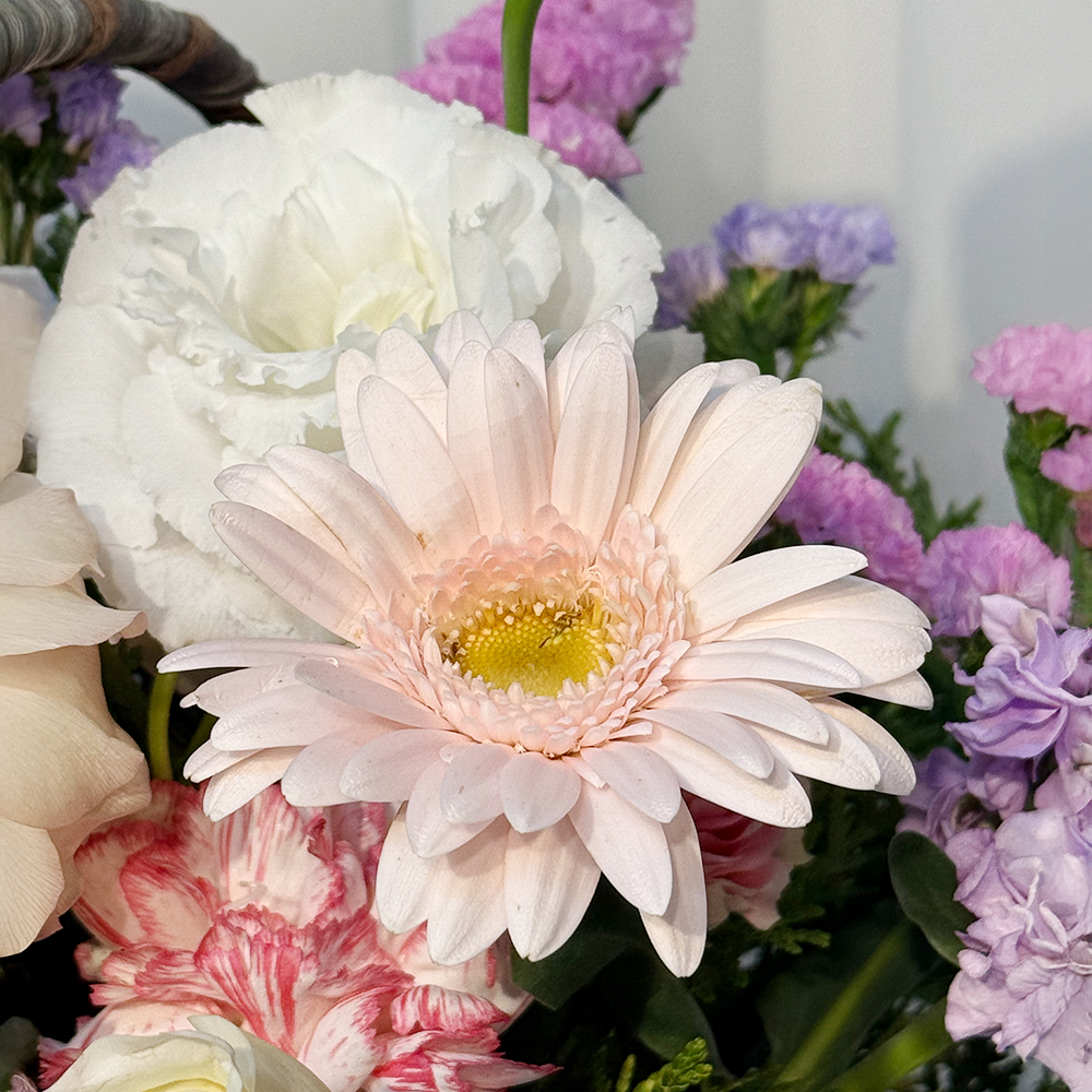 김포 카네이션 꽃바구니 어버이날 스승의날 꽃배달서비스 가정의달 부모님 선물 생화 농장직영