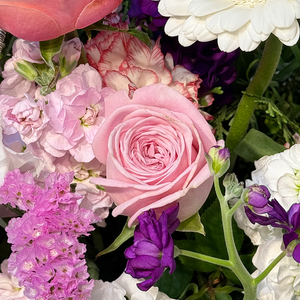 시흥 카네이션 꽃바구니 어버이날 스승의날 꽃배달서비스 가정의달 부모님 선물 생화 농장직영