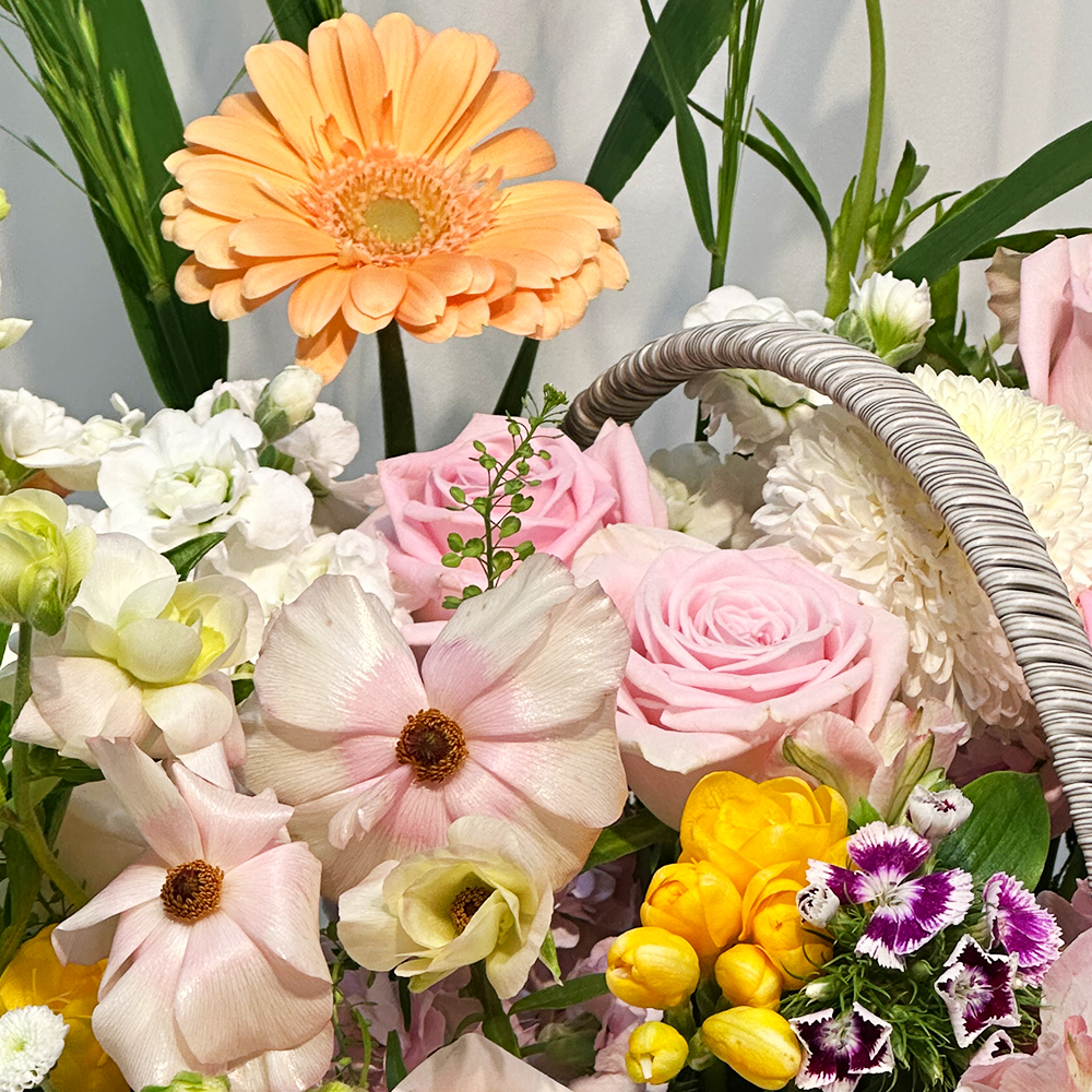 부천 카네이션 꽃바구니 어버이날 스승의날 꽃배달서비스 가정의달 부모님 선물 생화 농장직영