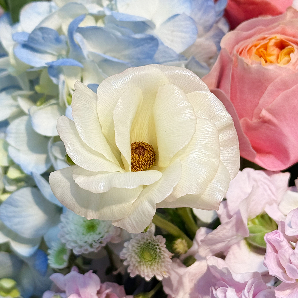 가정의달 카네이션 꽃바구니 어버이날 스승의날 꽃배달서비스 가정의달 부모님선물 생화 농장직영