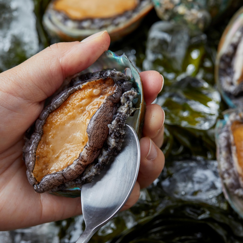 냉동 전복죽밀키트 전복내장죽 영양 아침 저녁대용 아침간편식 맛있는 200g, 1개 - 상세 이미지 5