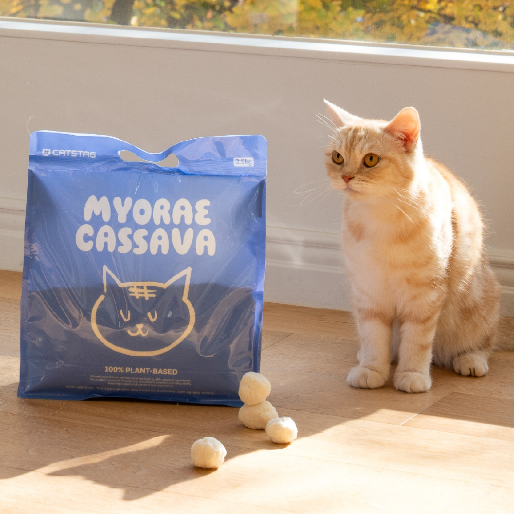 캣츠태그 냄새잡는 카사바모래 2.5kg 3개 무향 탈취 빠른응고 떡짐방지 고양이 이미지 1