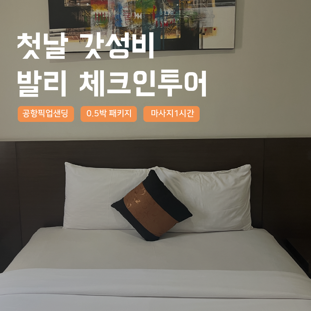 [발리] 발리 갓성비 체크인투어 0.5박 패키지 모닝투어 새벽도착 첫날 공항 픽업샌딩 - 상품 이미지