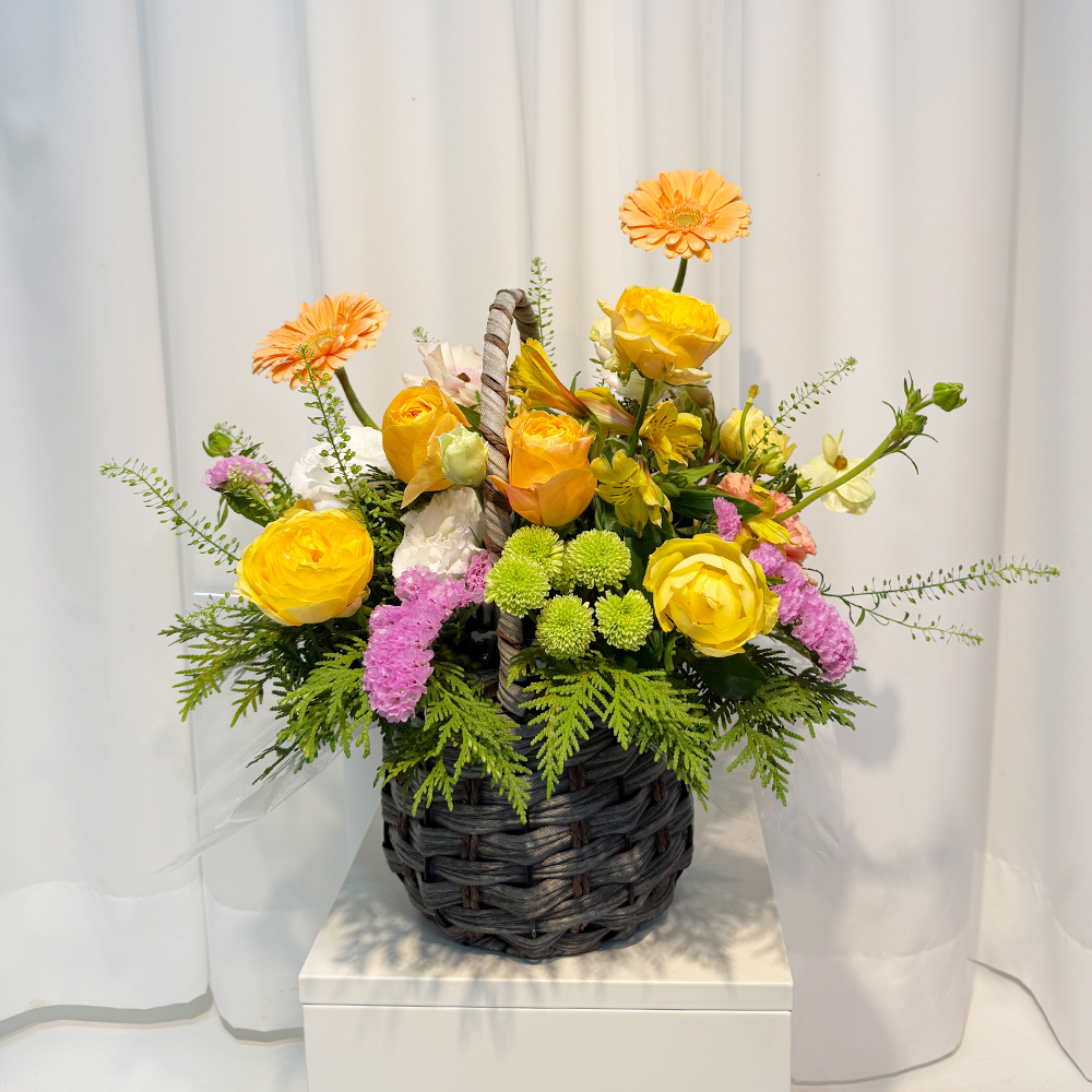 화성 카네이션 꽃바구니 어버이날 스승의날 꽃배달서비스 가정의달 부모님 선물 생화 농장직영