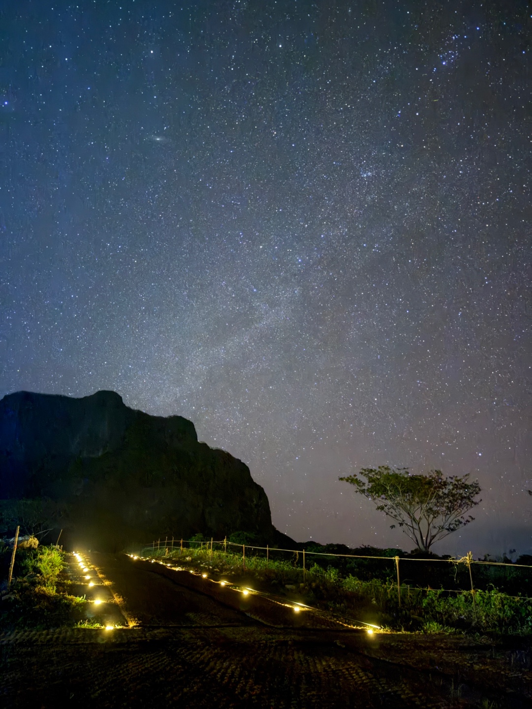 [사이판] 마나가하섬 투어 + 밀키웨이팜 별빛투어 콤보 예약