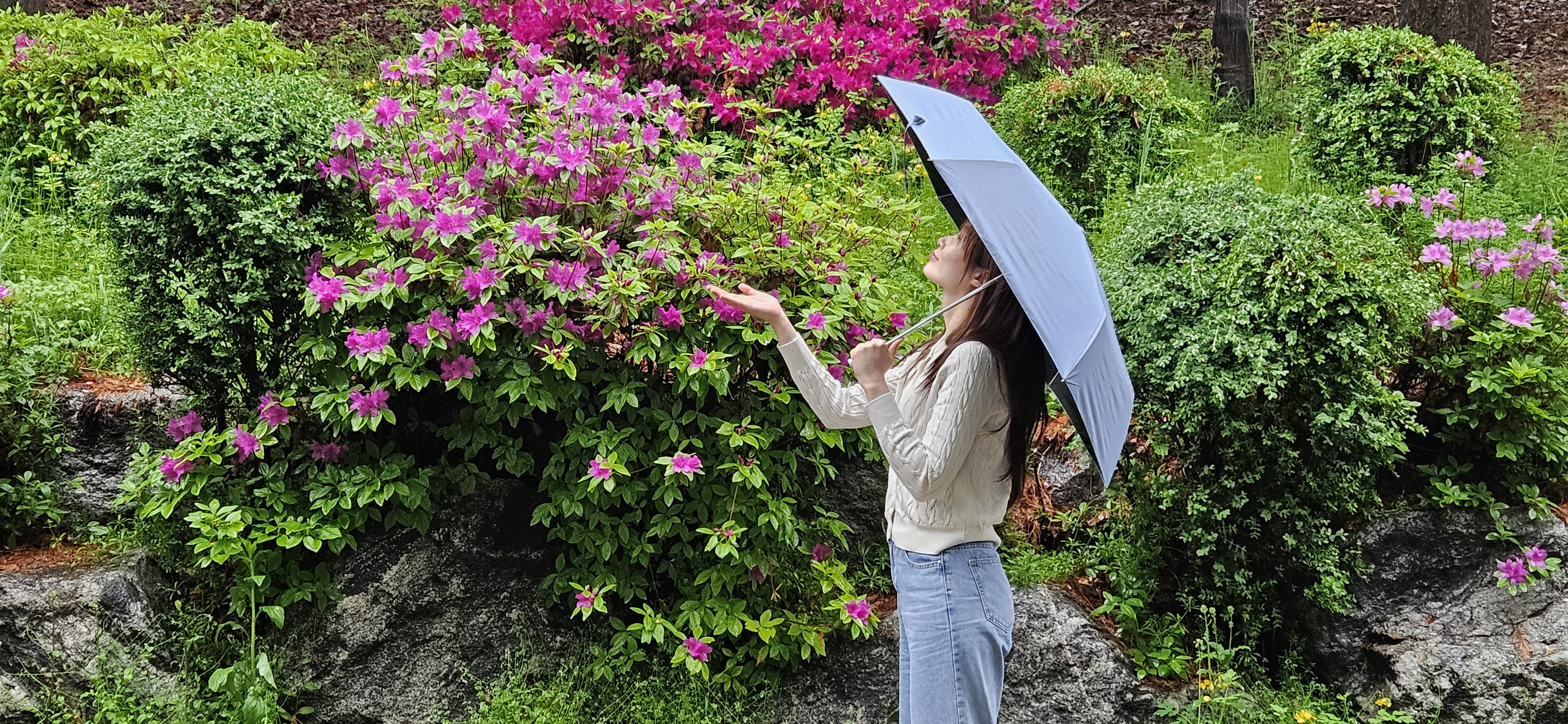 써니코어 암막 자동 양우산 자외선 차단 초경량 미니