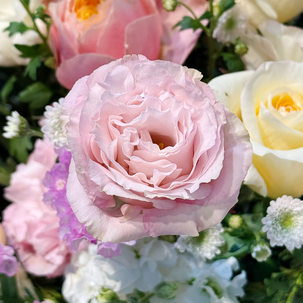 가정의달 카네이션 꽃바구니 어버이날 스승의날 꽃배달서비스 가정의달 부모님선물 생화 농장직영