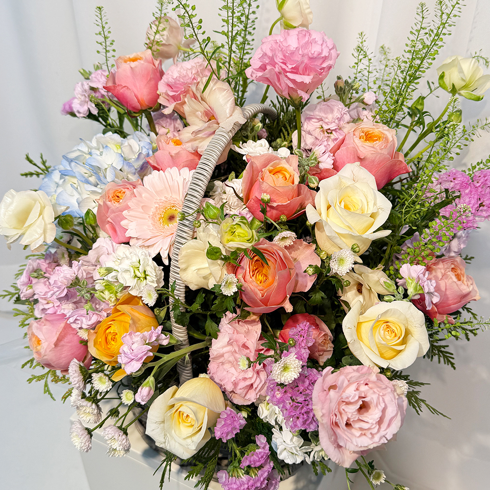 가정의달 카네이션 꽃바구니 어버이날 스승의날 꽃배달서비스 가정의달 부모님선물 생화 농장직영