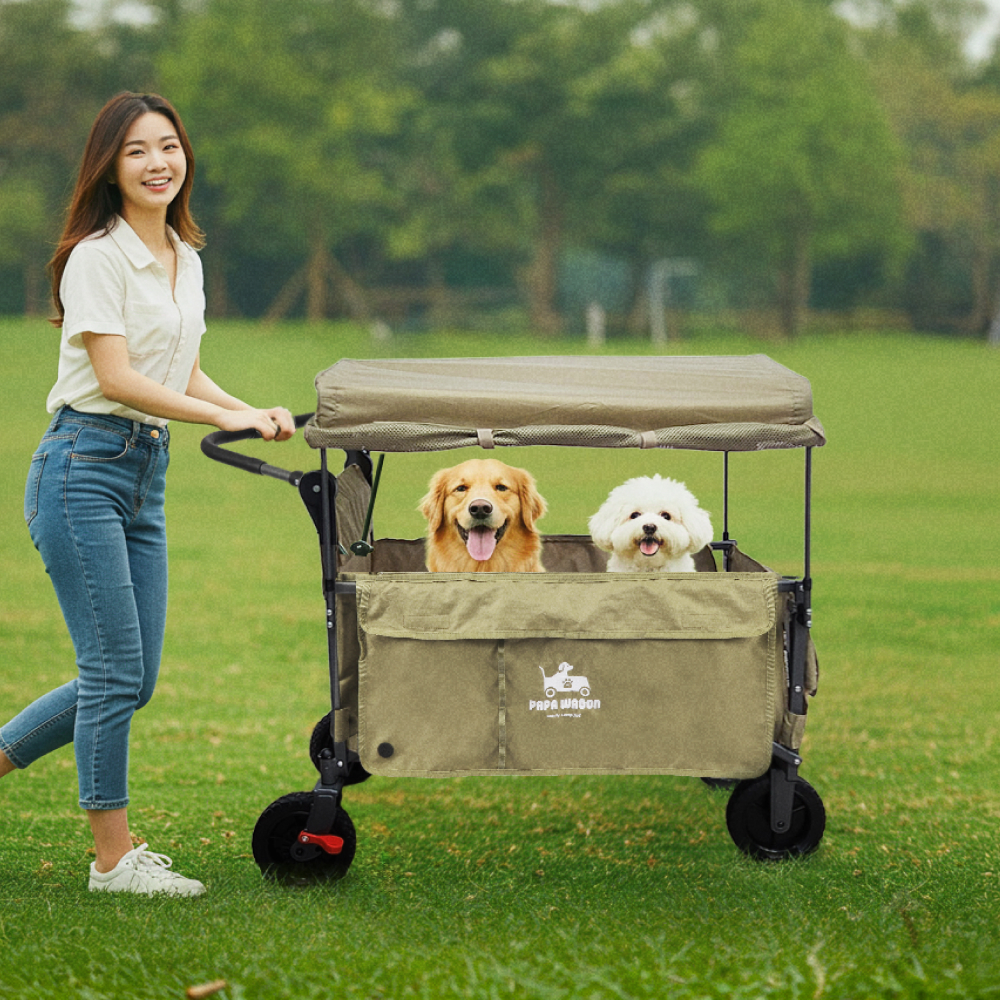 파파웨건 특대형 저상형 강아지유모차 개모차 캐노피 노견 대형견 다견용 강아지웨건 브레이크