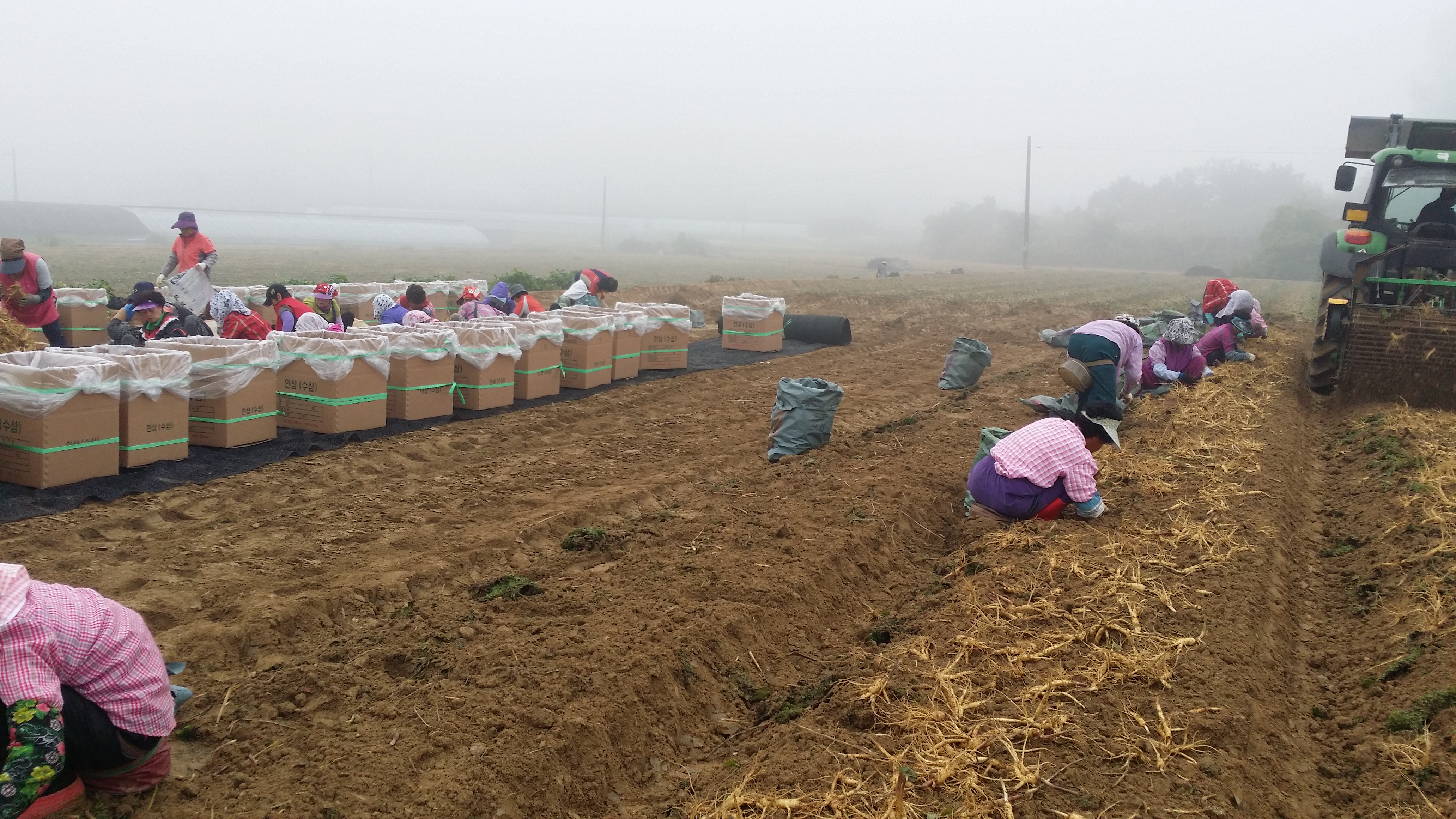 [오늘끝딜]원이홍삼 홍삼즙 홍삼진액 액기스 90ml 60포 - 상세 이미지 5
