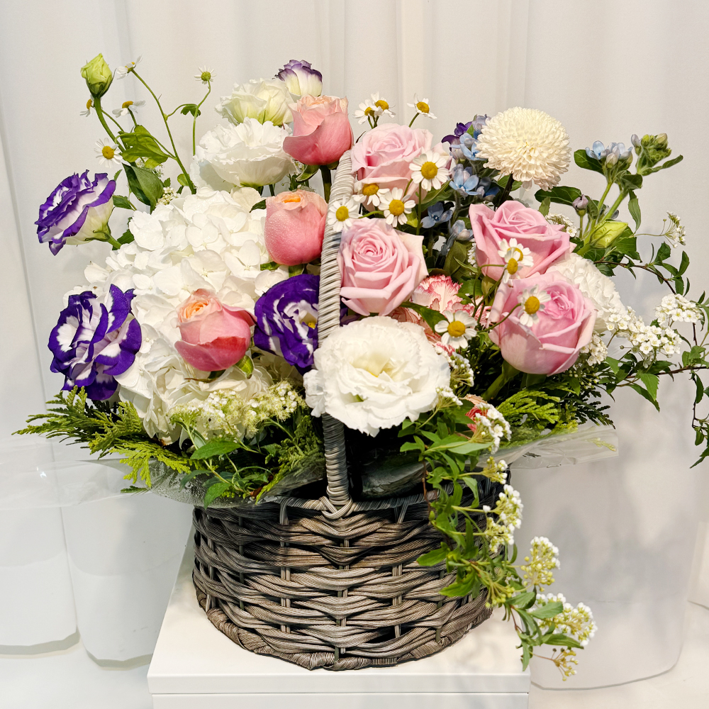 파주 카네이션 꽃바구니 어버이날 스승의날 꽃배달서비스 가정의달 부모님 선물 생화 농장직영