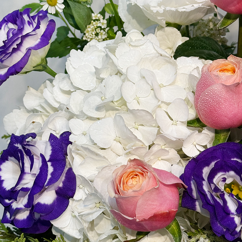 파주 카네이션 꽃바구니 어버이날 스승의날 꽃배달서비스 가정의달 부모님 선물 생화 농장직영