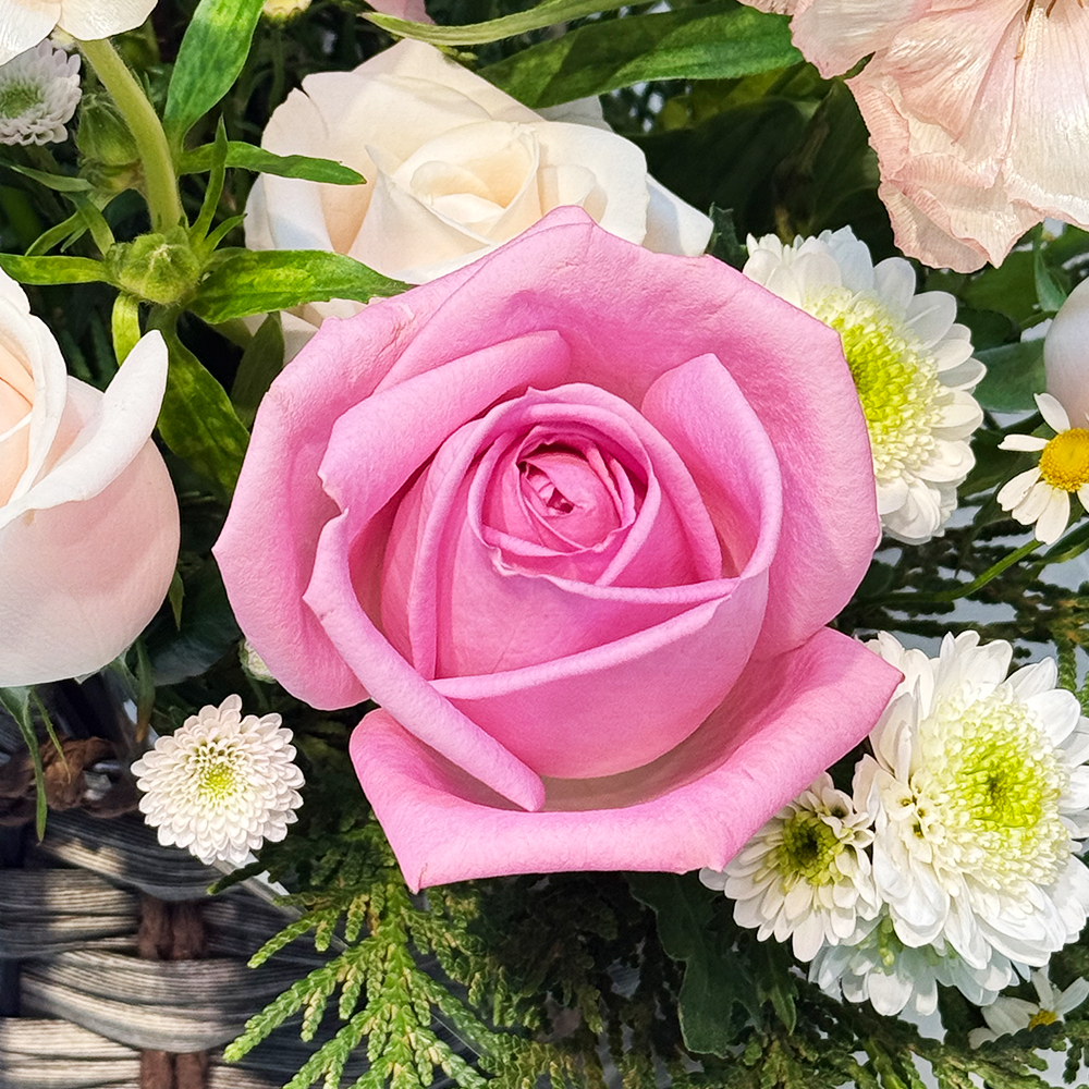 카네이션 꽃바구니 어버이날 스승의날 꽃배달서비스 가정의달 부모님 선물 생화 농장직영