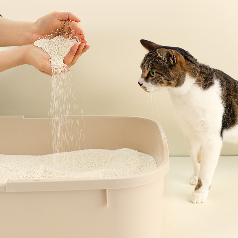 펫토리아 한삽뚝딱 카사바 고양이모래 무향 3.2kg, 3개