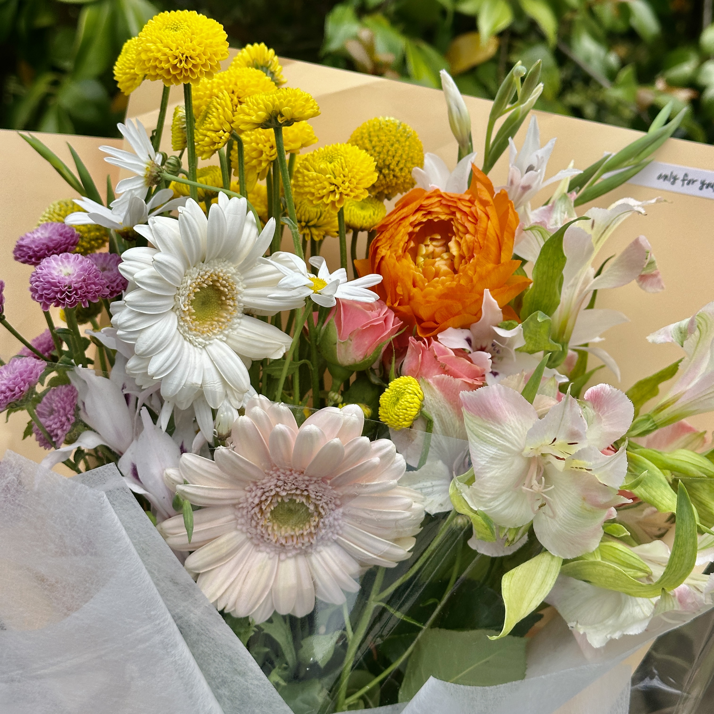 희록플라워 생화 계절 꽃 랜덤 꽃다발 중형 행복한다발 정기구독 생화택배 온라인꽃집