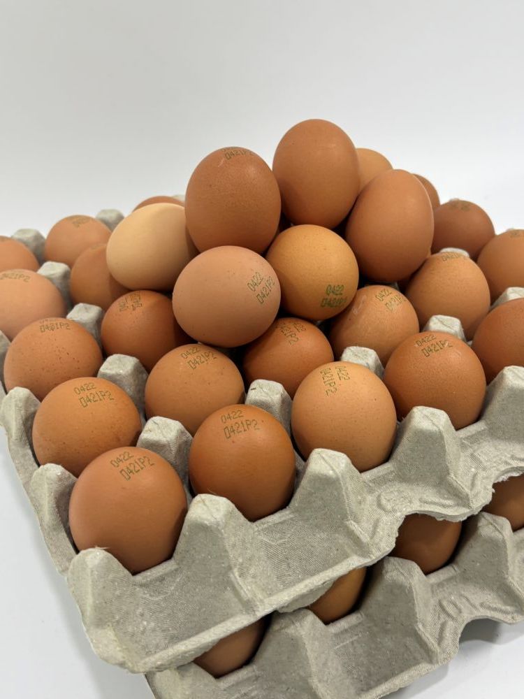 [파손보장] 구운계란 맥반석 계란 대란 렛츠에그 HACCP 60구 - 상세 이미지 3