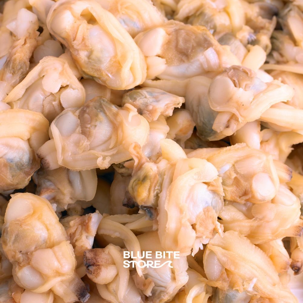 자숙 바지락살 200g 2kg 손질 해감 조개살 냉동 깐 조갯살