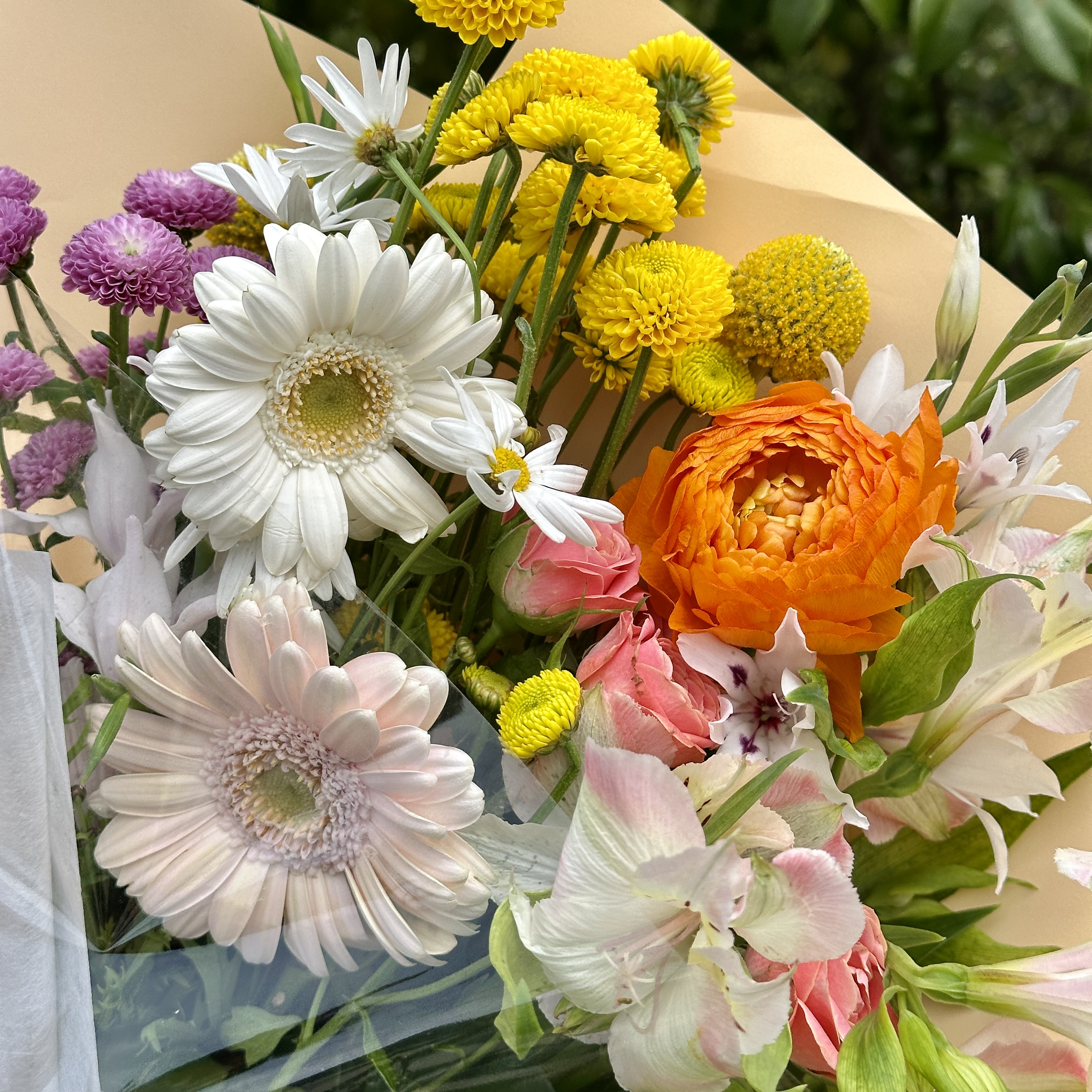 희록플라워 생화 계절 꽃 랜덤 꽃다발 중형 행복한다발 정기구독 생화택배 온라인꽃집