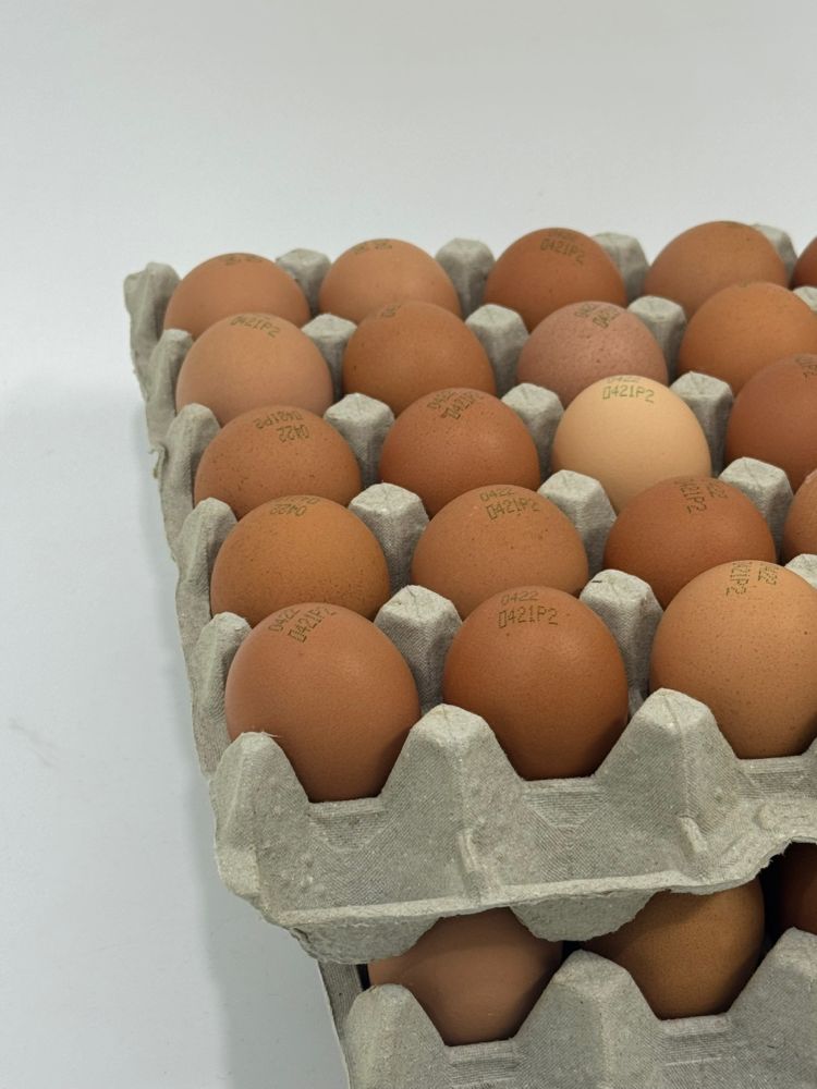 [파손보장] 구운계란 맥반석 계란 대란 렛츠에그 HACCP 60구 - 상세 이미지 4
