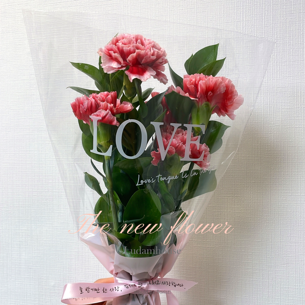 카네이션 5송이 한다발 포장 어버이날 스승의날 가정의달 꽃 배달 생화 꽃집 꽃배달싼곳 선물 - 상세 이미지 2
