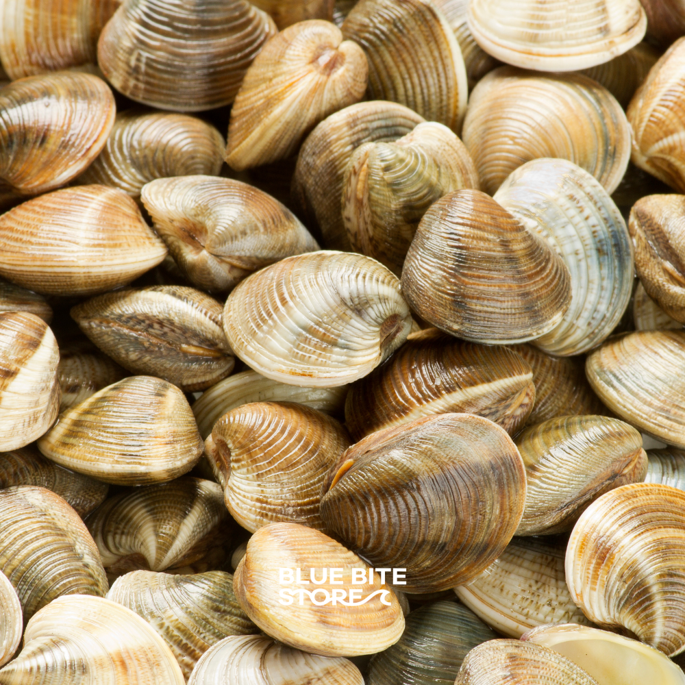 피바지락 500g 5kg 냉동 손질 해감 세척