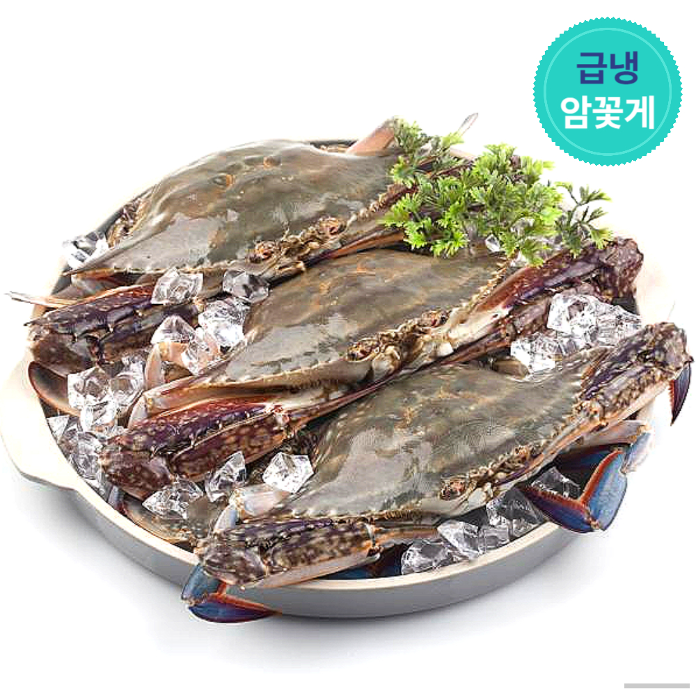 [어남선생 꽃게장 주재료] 연평도 냉동 꽃게 급냉 암꽃게 1kg 2kg 3kg - 상세 이미지 3