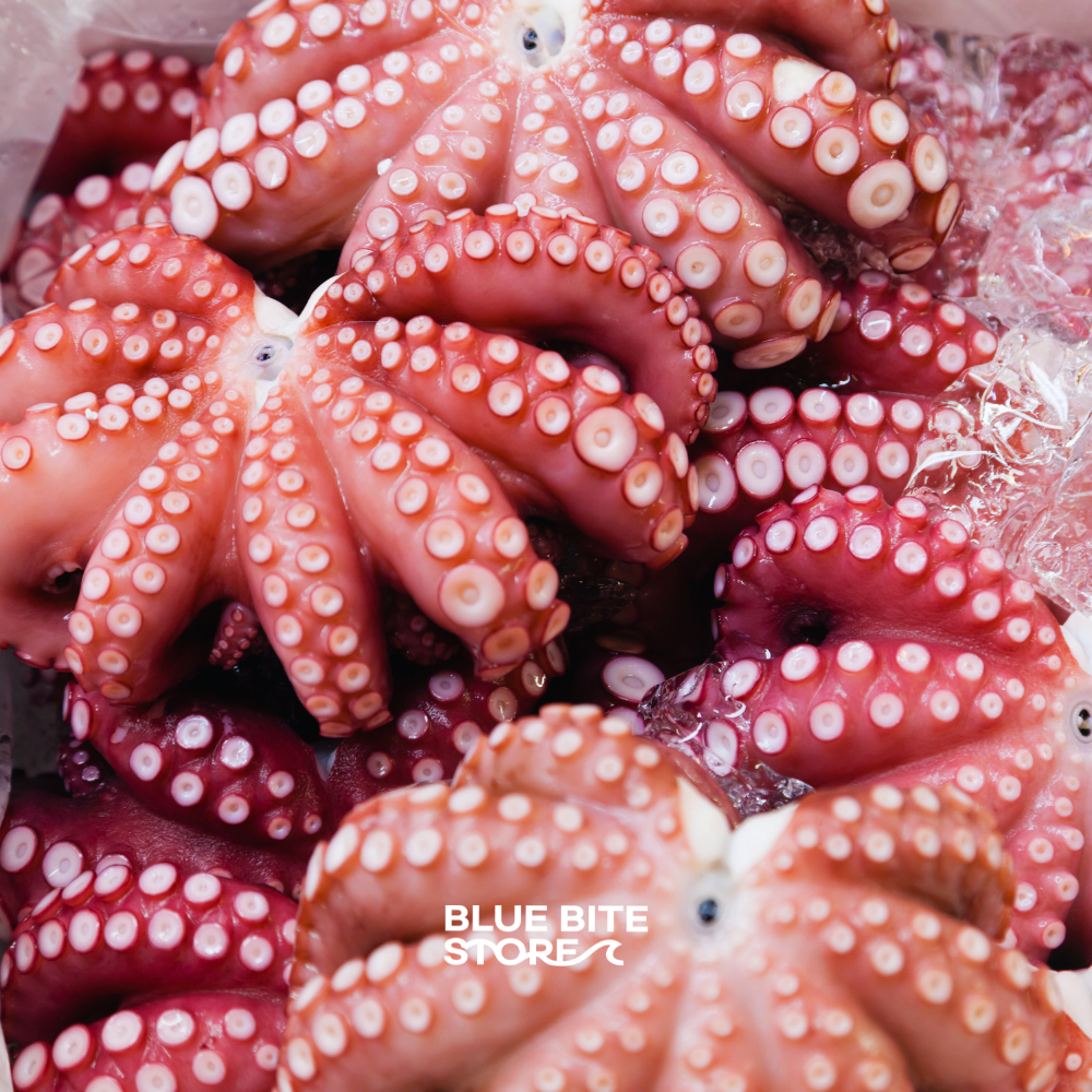 자숙문어 10kg 손질 피문어 냉동 숙회