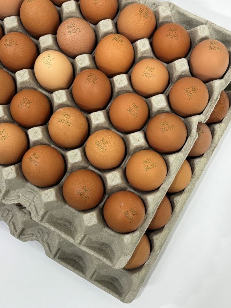 [파손보장] 구운계란 맥반석 계란 대란 렛츠에그 HACCP 60구 - 상품 이미지