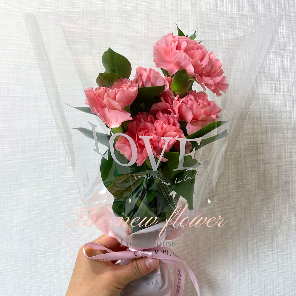 카네이션 5송이 한다발 포장 어버이날 스승의날 가정의달 꽃 배달 생화 꽃집 꽃배달싼곳 선물 - 상세 이미지 3