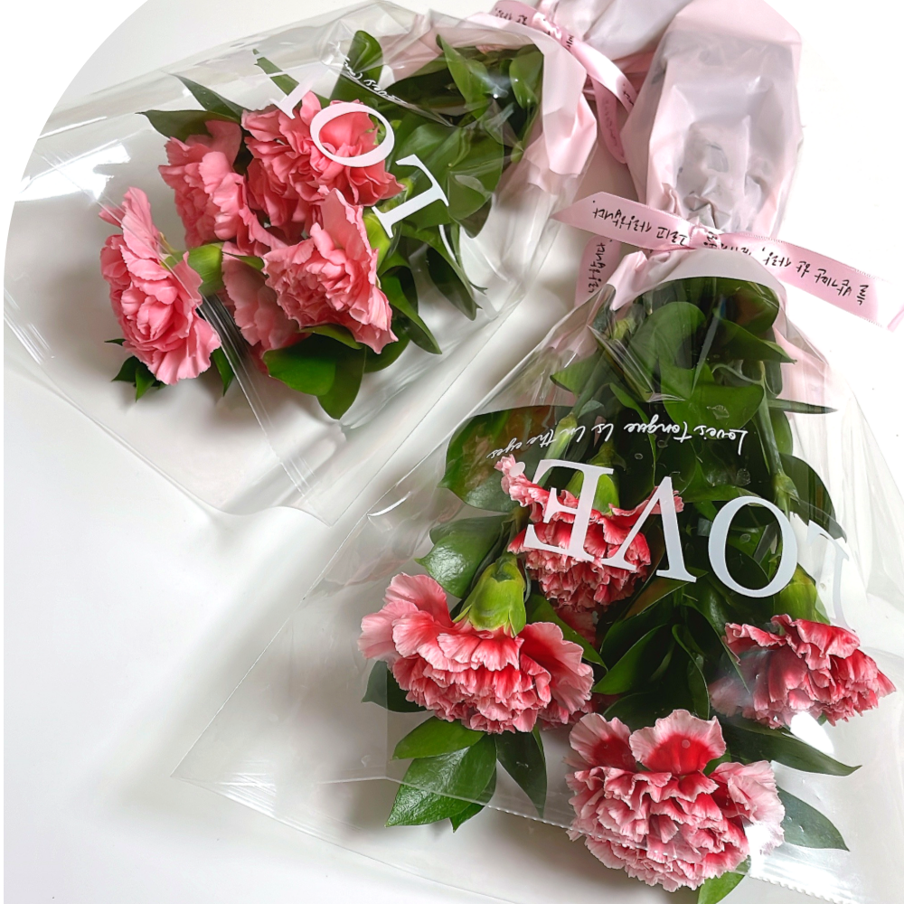 카네이션 5송이 한다발 포장 어버이날 스승의날 가정의달 꽃 배달 생화 꽃집 꽃배달싼곳 선물 - 메인 이미지