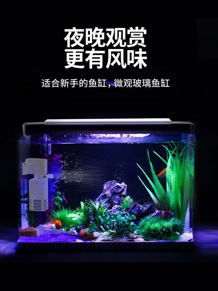 수조냉각기 해수 민물 산호 장치 열대어 시즈항온기 누 드 탱 크 선물(35개) 20x22 - 상세 이미지 2