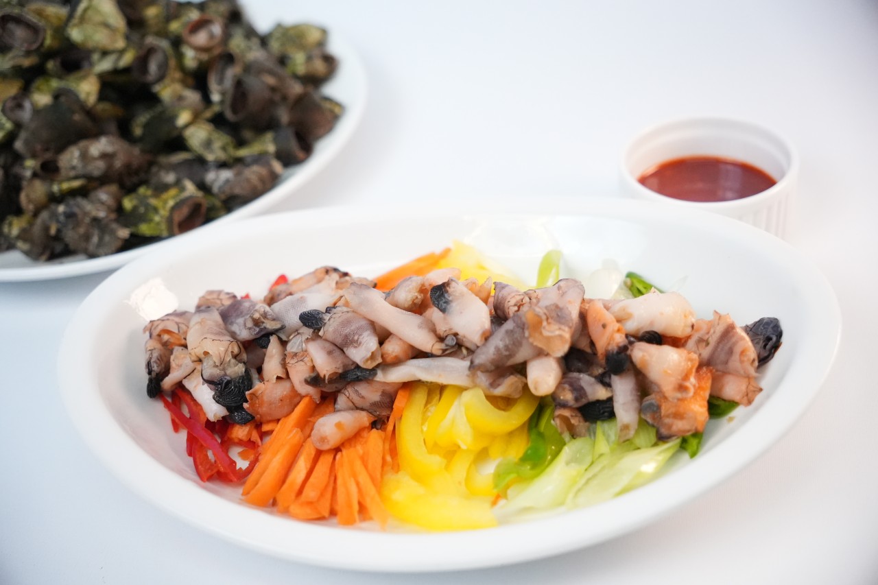 국내산 거북손 1kg / 손질 쉬운 바다간식 / 해물탕 안주 OK - 상품 이미지