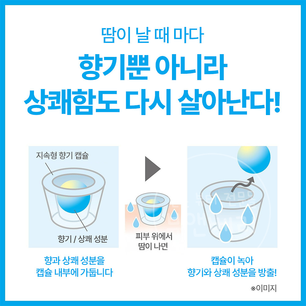 일본 시세이도 시브리즈 데오드란트 데오워터 리뉴얼 시트러스샤베트, 145ml, 1개 - 상세 이미지 4