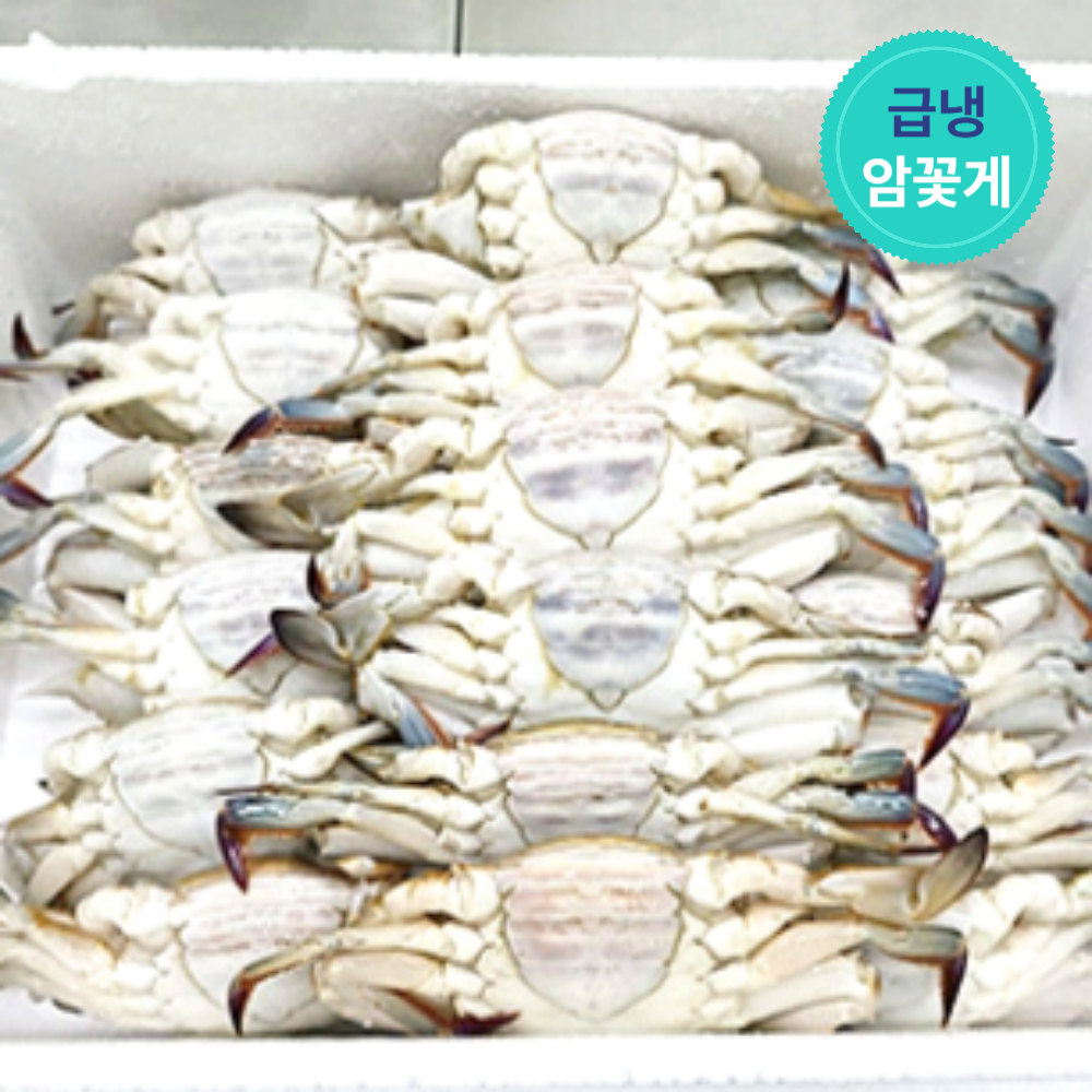 [어남선생 꽃게장 주재료] 연평도 냉동 꽃게 급냉 암꽃게 1kg 2kg 3kg - 상세 이미지 5