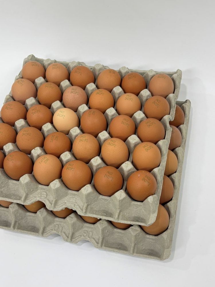 [파손보장] 구운계란 맥반석 계란 대란 렛츠에그 HACCP 60구 - 상세 이미지 2