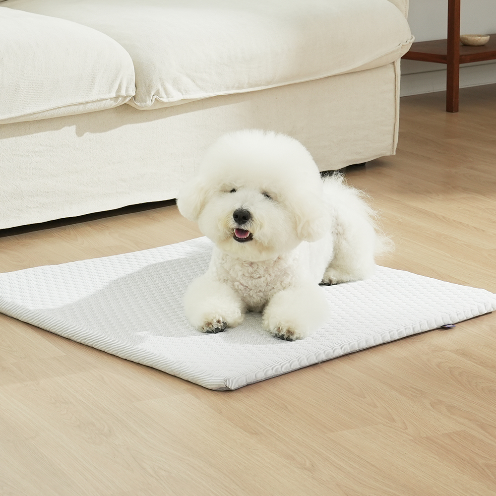 더플래 강아지 고양이 시원한 여름 쿠션 냉감 펫 방석 스노우 쿨 매트