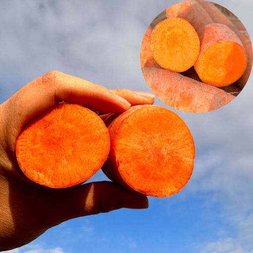 thumbnail-5