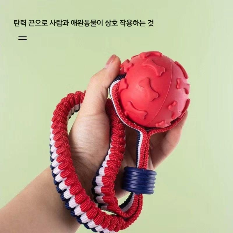 강아지공놀이장난감 튼튼한 고무공 던지기용 반려견 실내용 외출용 인기 3링공(오렌지/보라) - 상세 이미지 4