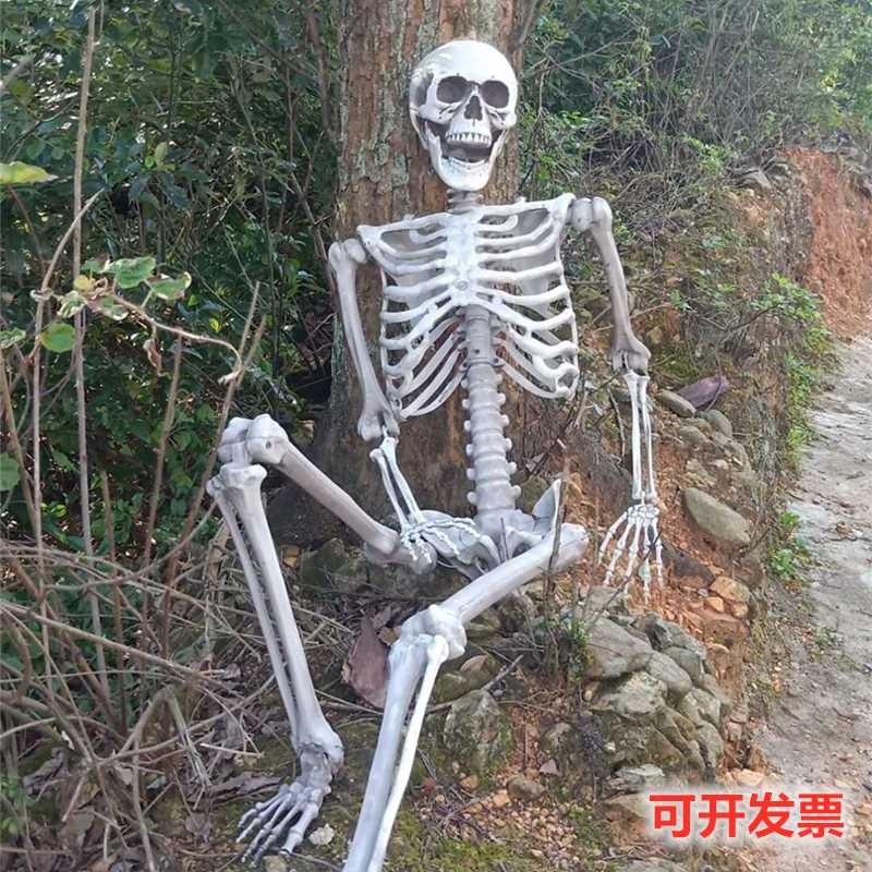 할로윈 해골 장식 귀신의집 데코 공포 호러 포토존 170cm 스켈레톤 - 상세 이미지 2