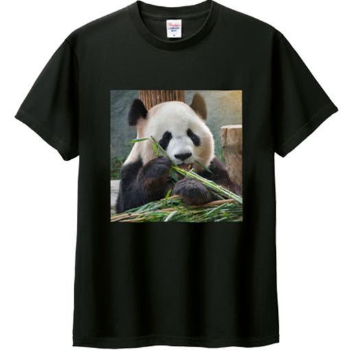 thumbnail-5