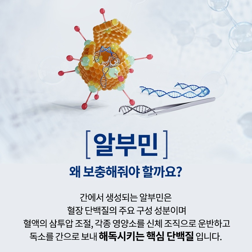알부민 골드 맥스 제품 이미지