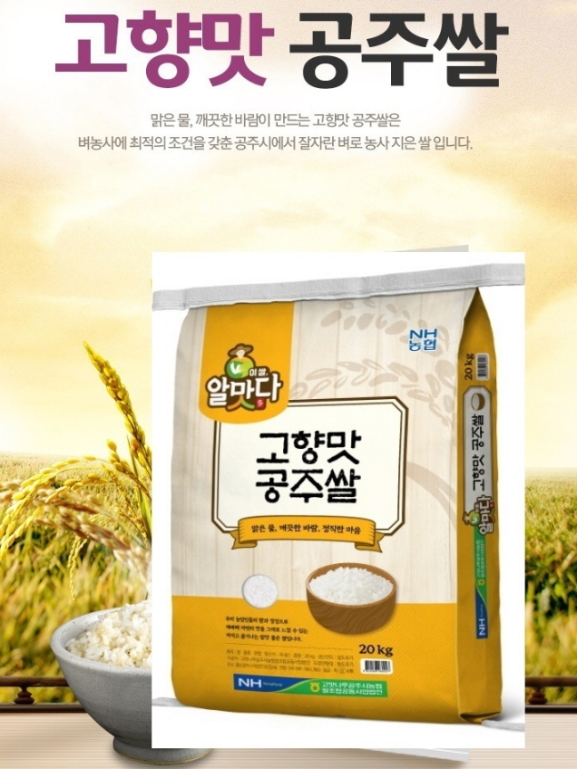 고맛나루농협 알맛다 공주쌀10kg 24년산 햅쌀 상등급 백미 찰진쌀 : 마트총각