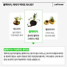 류신 블랙마카 아르기닌 3중 배합 근육 특허 원료 정제 60정, 2개 - 상세 이미지 3