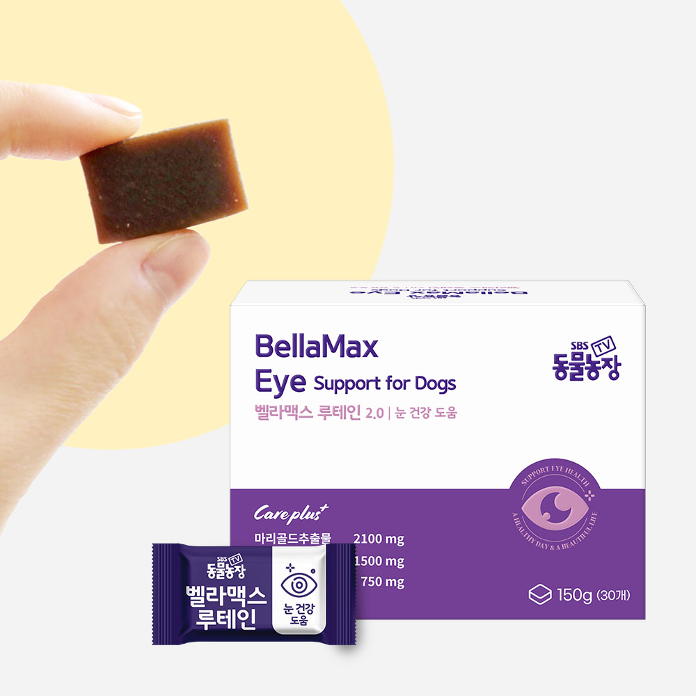벨라맥스 SBS TV 동물농장 수의사 강아지 눈 영양제 루테인 눈물 자국